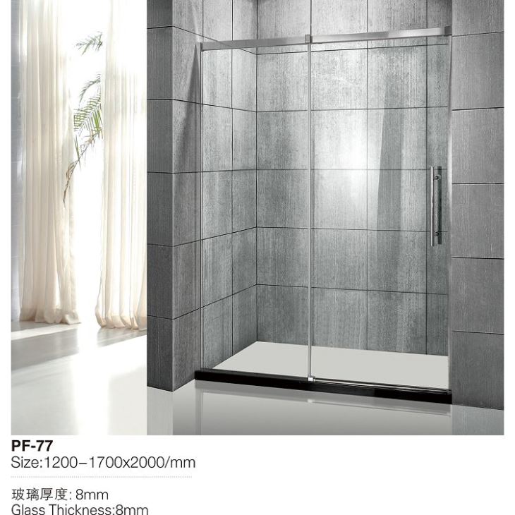 Tempered Glass Shower Door
